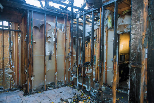 Professional Fire Damage Removal technician working in Newtown, PA