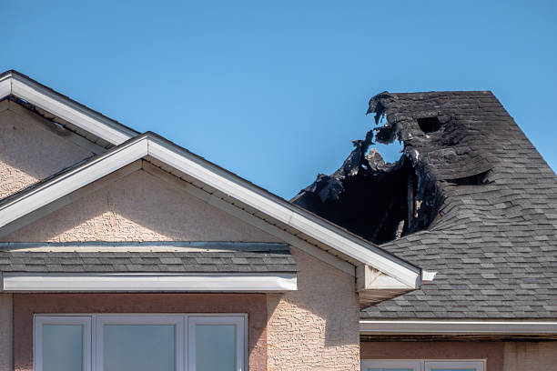 Top rated local Fire Damage Removal specialists in Newtown, PA